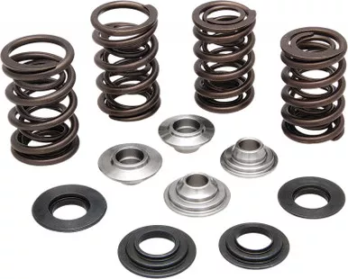 Kpmi Racing Valve Spring Kit - 60-60700
