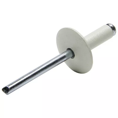Large Head Rivet White 250pk ALL18011