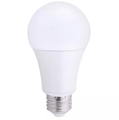 LED LITESPAN A19