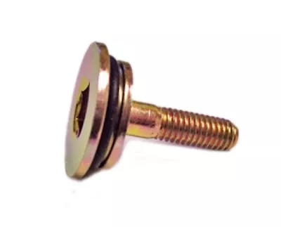 M6x22 Pivot to the Cam / Timing Chain Tensioner