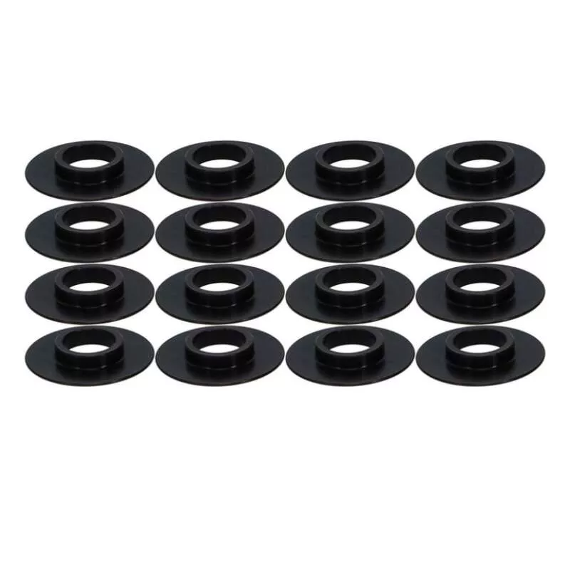 MAN Valve Spring Kits