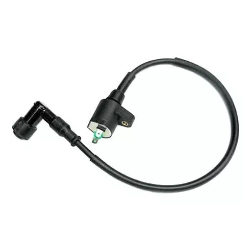 Mogo/Outside Distributing External Ignition Coil