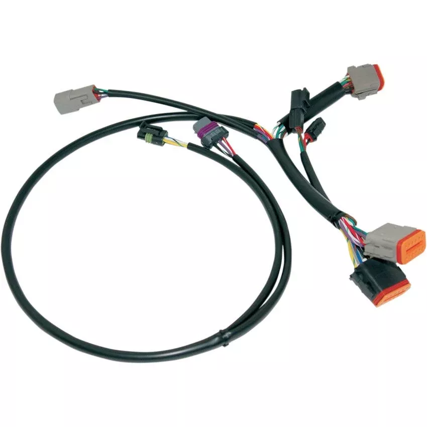 Namz Ignition Wiring Harness Harley-Davidson Touring 2001 W/ Crank And Cam Position Sensors