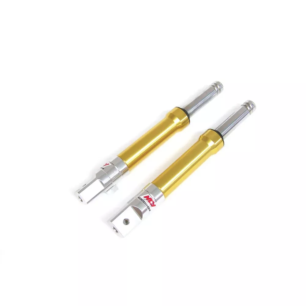 NCY Front Forks (Drum Type, Gold); Ruckus, Metropolitan
