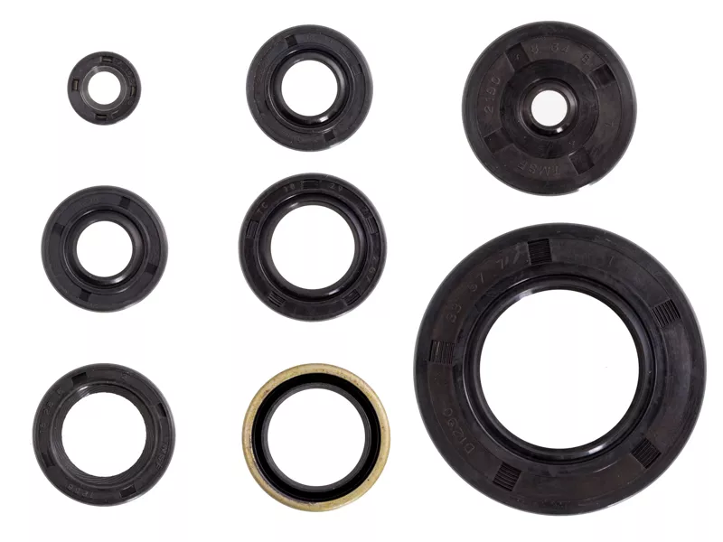Oil Seal Kit | Honda CB450 / CL450 / CB500T