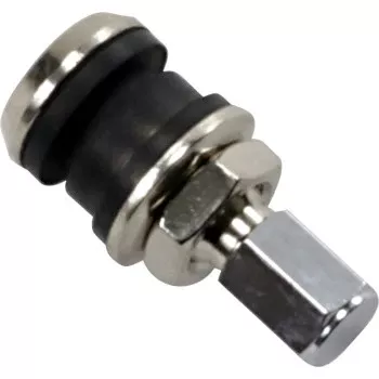 Overstock – Tubeless Valve Stem