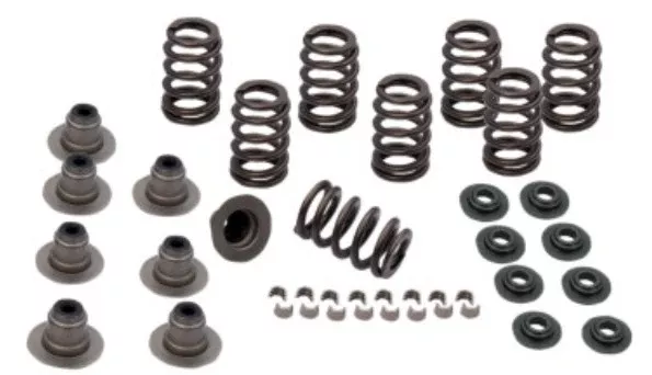 Overstock - Valve Spring Kit - 0.605" - Heavy Duty - M8