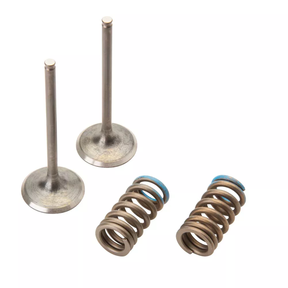 Pro X Steel Intake Valve/Spring Kit