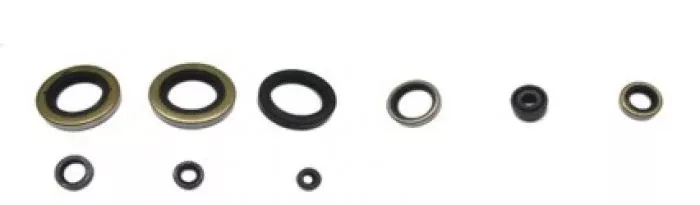Psychic AT-09616 Engine Oil Seal Kit