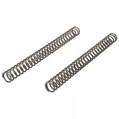 Race Tech ADV Fork Spring