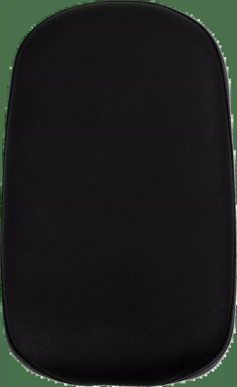 Rear Solo Seat (2)