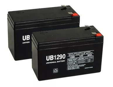 Replacement for APC RBC22 UPS Backup Battery