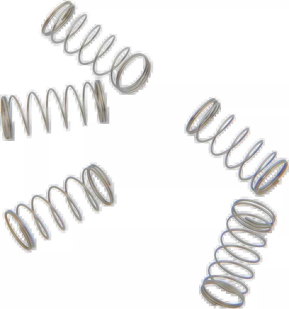 S&S CYCLE Check Ball Springs - 5 Pack Part 11-2392