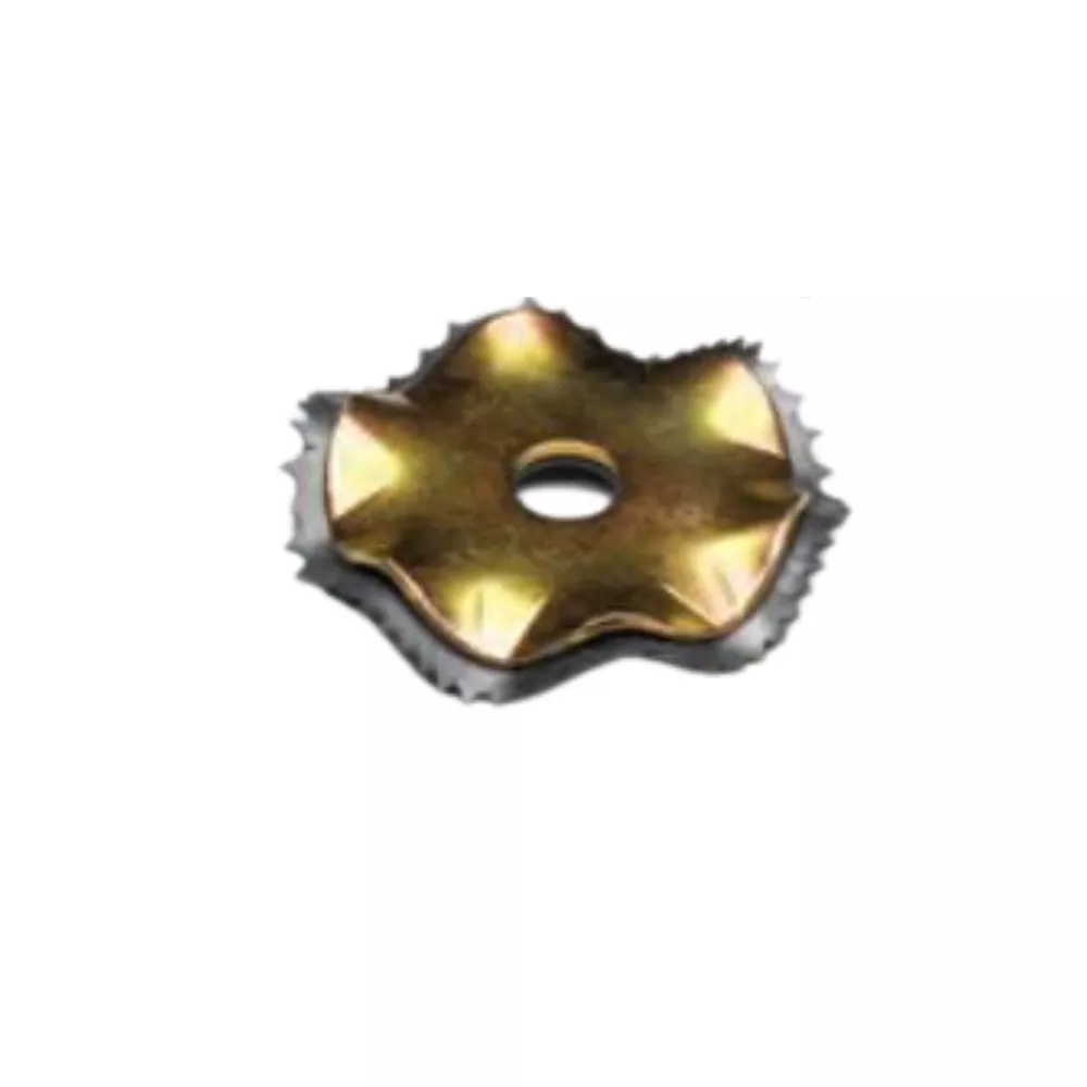 S2020-104 - SQUIGGLY BUFFING RASP, BOX OF 24