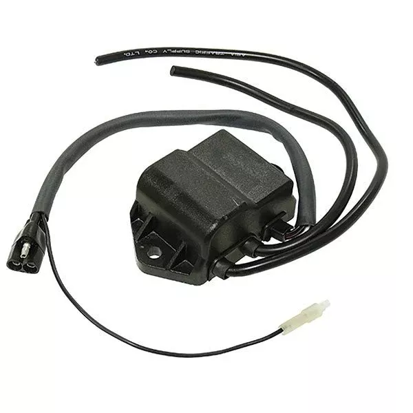 SPX CDI Ignition Box (01-407-01)