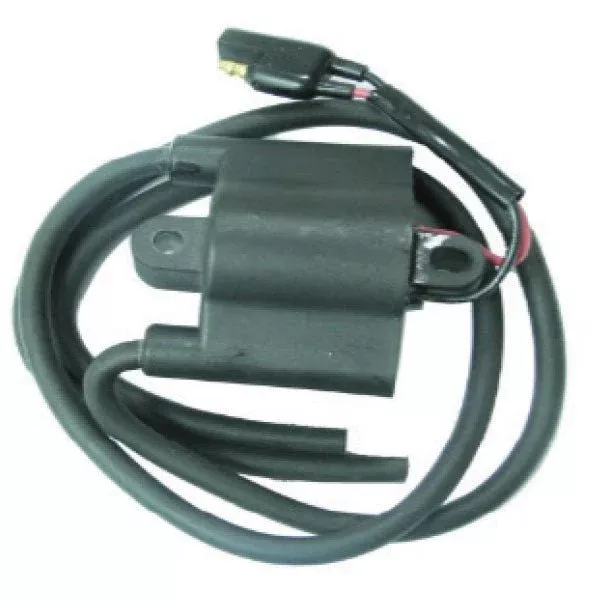 SPX Ignition Coil (01-143-53)