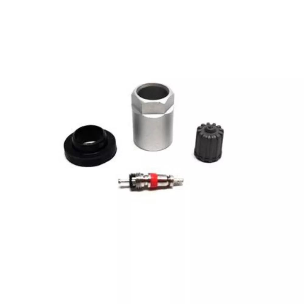 TECH6-103 - SERVICE KIT FOR SCHRADER GEN 2/3, BOX OF 10