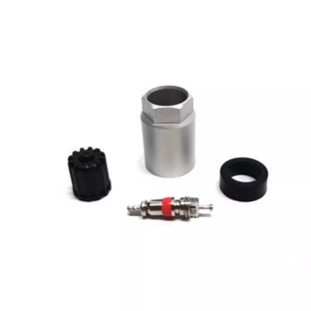 TECH6-118 - SERVICE KIT FOR SCHRADER GEN 2/3 BOX OF 10