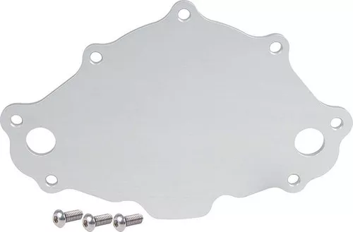 Water Pump Back Plate Early SBF ALL31153