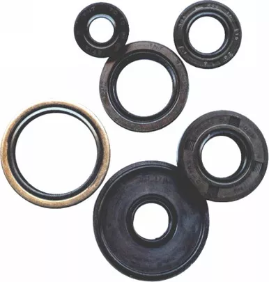 Winderosa Oil Seal Set - 822212